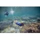 Aletas Snorkel Subea FF 100 React Adulto Negro Verde